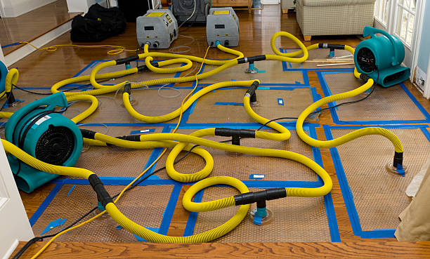 Professional Water Extraction technician working in Lake Nebagamon, WI